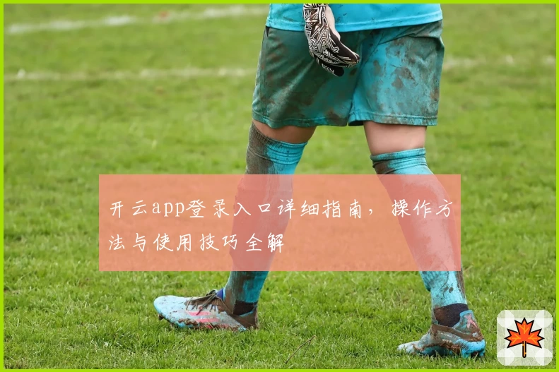 开云app登录入口详细指南，操作方法与使用技巧全解