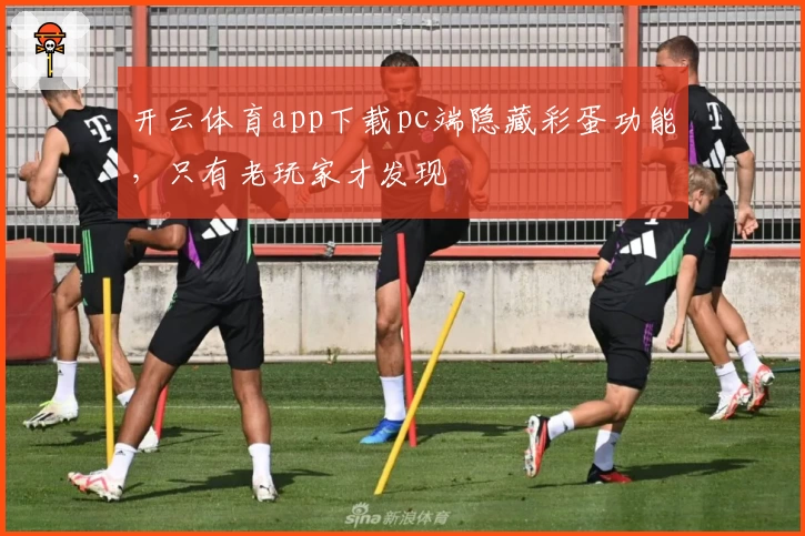 开云体育app下载pc端隐藏彩蛋功能，只有老玩家才发现