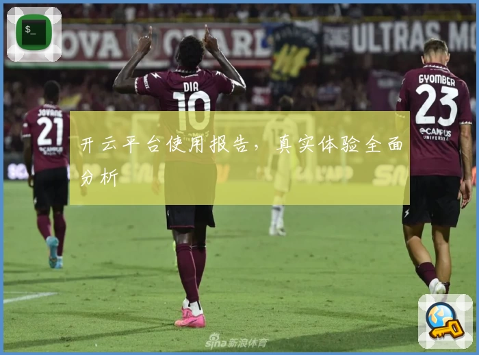 开云平台使用报告，真实体验全面分析