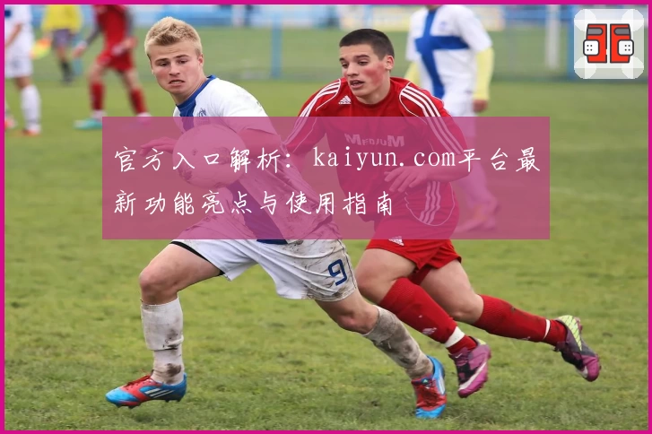官方入口解析：kaiyun.com平台最新功能亮点与使用指南