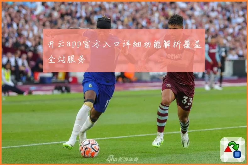 开云app官方入口详细功能解析覆盖全站服务